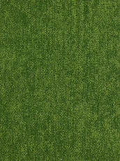 Ковролин Haima Coral 30 фото 1 | FLOORDEALER